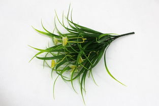 仿真花蝴蝶把花套裝 點亮客廳裝飾的創意壁掛藝術